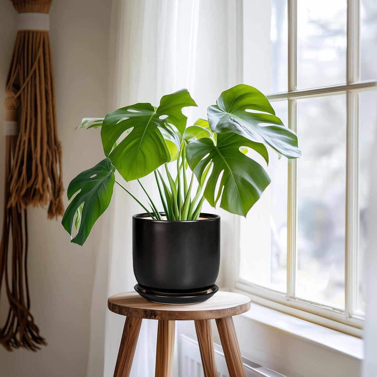 Ceramic Planter 7 Inch - Cylinder Round Modern Indoor Plant Pot for Plants with Drainage Hole and Saucer, Room Home Patio Office Patio Decor, Black