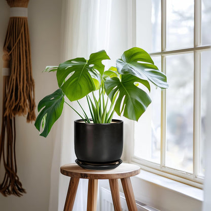Ceramic Planter 7 Inch - Cylinder Round Modern Indoor Plant Pot for Plants with Drainage Hole and Saucer, Room Home Patio Office Patio Decor, Black