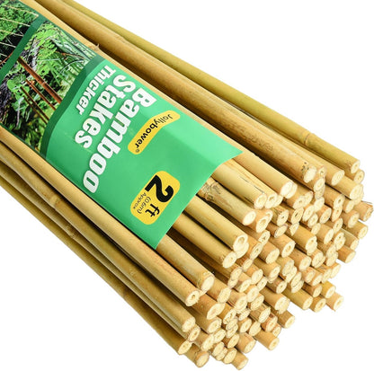 3/10" D 2 Feet Bamboo Stakes 50 Pack, Thicker Heavy-Duty Plant Stakes, Natural Garden Stakes for Bean, Tomato, Bean, Flowers,Trees Potted and Climbing Plant Support