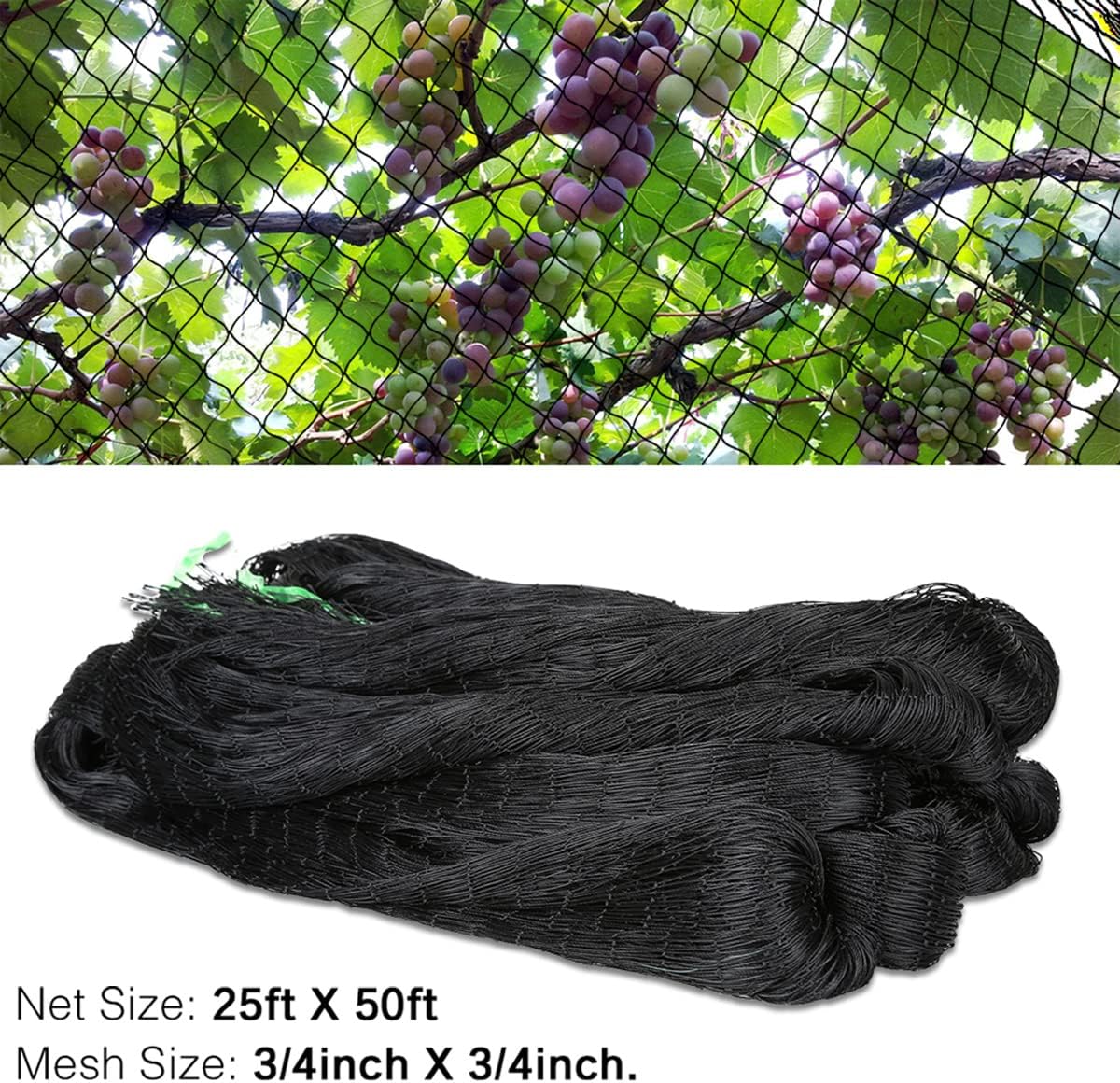 OGORI 25' x 50' Bird Netting Heavy Duty Nylon 3/4" Mesh Garden Netting Protect Fruit Trees, Plants and Vegetables