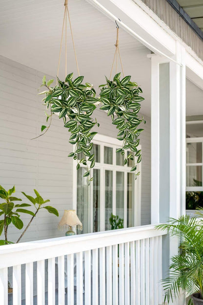 DILATATA Fake Hanging Plants Artificial Hanging Plants 26" Faux Wandering Jew Hanging Leaves Plants for Wall Shelf Home Indoor Outdoor Decor - 2 Pack