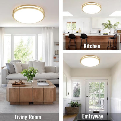 24 inch Gold Ceiling Light Fixture 48W, LED Dimmable Close to Ceiling Light Fixture 5CCT, Modern Flush Mount Ceiling Light for Living Room, Bedroom, Bathroom, Kitchen