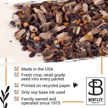 Bentley Wildflower Pollinator Mix, 25 Non-GMO Packets for Garden Planting, Non-Coated Flower Seeds to Grow Plants and Help Bees, Beautiful Gift
