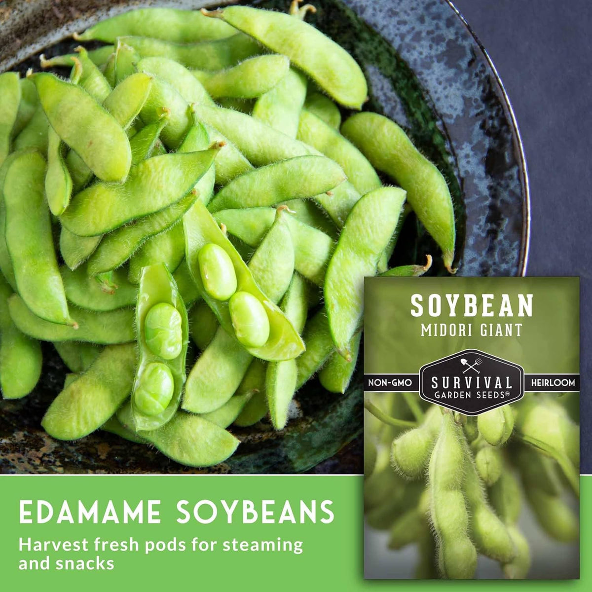 Midori Giant Soybean Seeds for Planting - Grow Protein-Rich Edamame Pods in Your Home Vegetable Garden - Non-GMO Heirloom Soy Bean - Survival Garden Seeds (5 Packs)