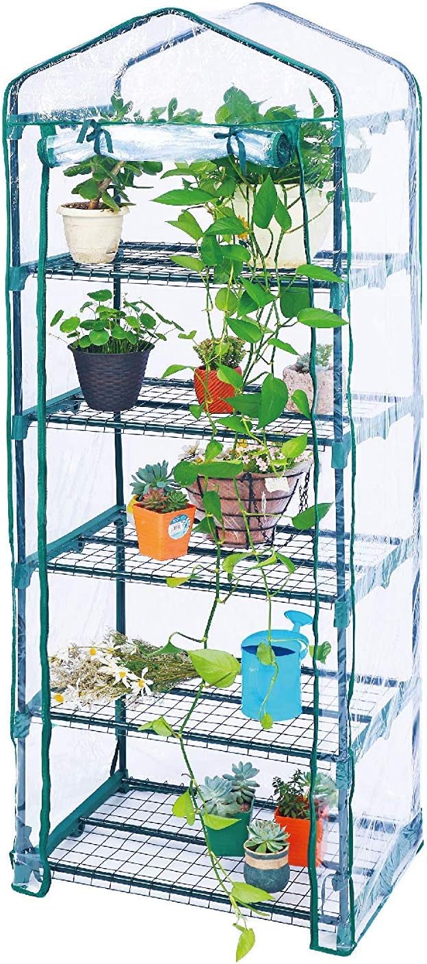 Worth Garden 5 Tier Mini Greenhouse - 75'' H x 27'' L x 19'' W - Sturdy Portable Gardening Shelves with PVC Cover - Small Porch Green House for Growing Plants Flowers Indoor & Outdoor