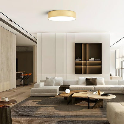Dimmable Modern Large Flush Mount Close to Ceiling Light Fixture,Round Painted Gold LED Ceiling Mounted Lights Fixtures,5CCT 2700K-6000K Lighting for Kitchen Master Bedroom Living Room,15.7in