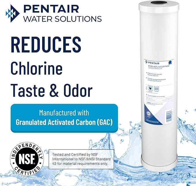 Pentair Pentek RFC-20 Carbon Water Filter, 20-Inch, Whole House Radial Flow Carbon Replacement Cartridge with Granular Activated Carbon (GAC) Filter, 20" x 2.5", 25 Micron