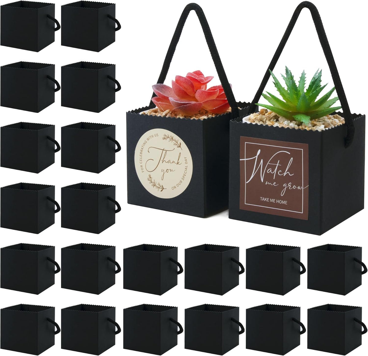 Temlum 2.5 Inch Succulent Wrap Bags (Fits 2.5″ Pots) with Thank You & Watch Me Grow Stickers, Small Succulent Gift Box for Wedding, Baby Shower, Succulent Party Favors for Guests (Black 40pcs)