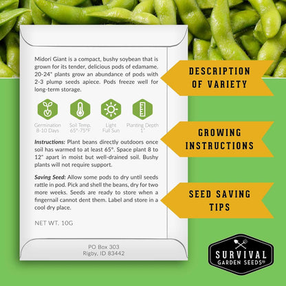 Midori Giant Soybean Seeds for Planting - Grow Protein-Rich Edamame Pods in Your Home Vegetable Garden - Non-GMO Heirloom Soy Bean - Survival Garden Seeds (3 Packs)