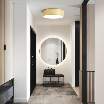 Dimmable Modern Flush Mount Ceiling Light Fixture,Painted Gold Round LED Ceiling Lights Fixtures,5CCT 2700K-6000K Lighting for Kitchen Hallway Bedroom Laundry Room Entryway Closet 11.81 inch