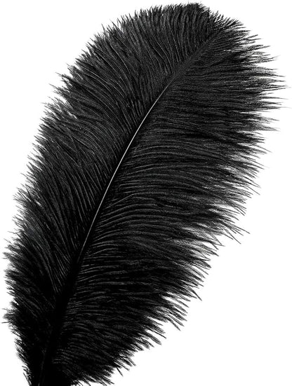 Ballinger Black Ostrich Feathers Bulk - 24Pcs 8-10inch Feathers for Crafts,Gatsby and Halloween Party Centerpieces