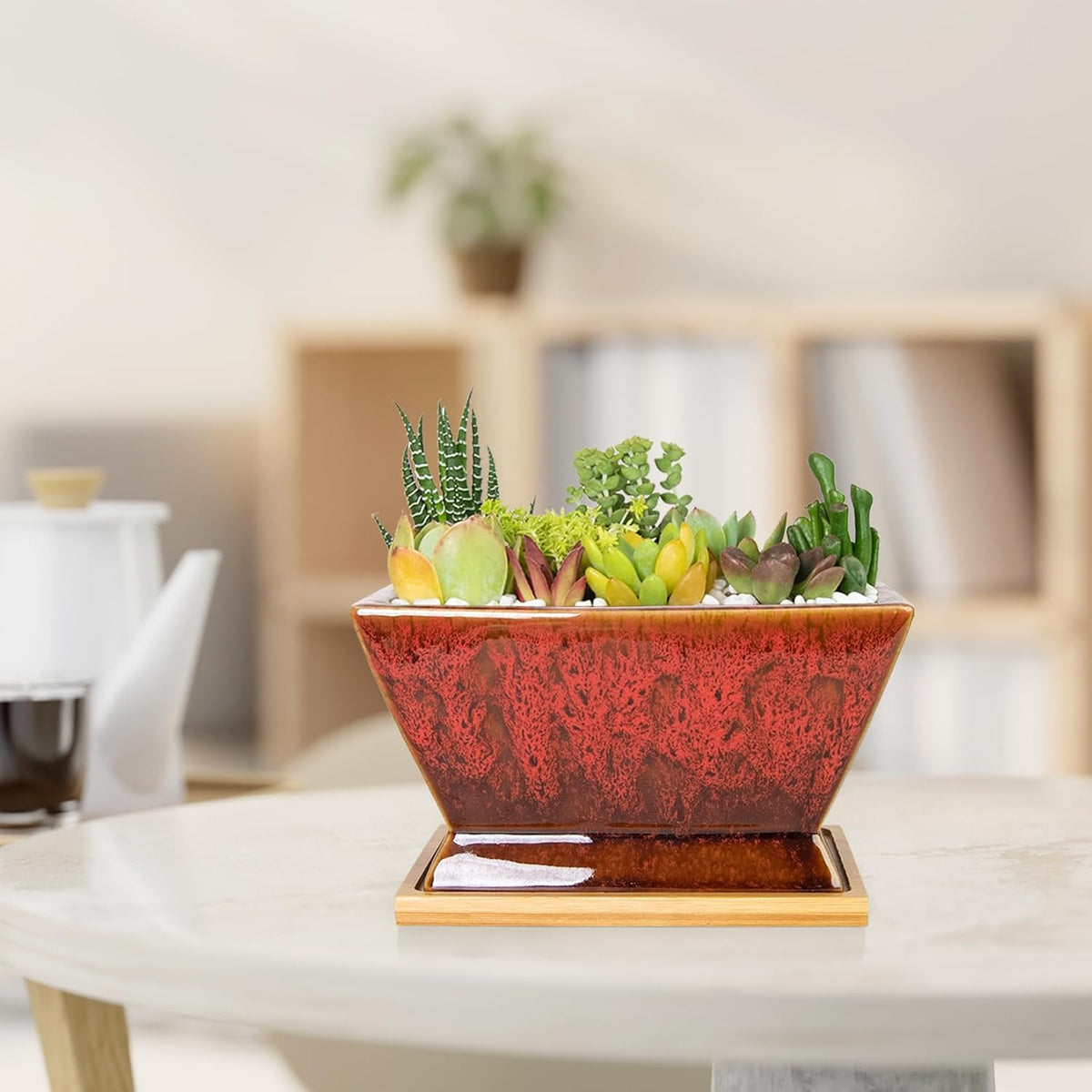 ARTKETTY Succulent Pots - 7 Inch Large Plant Pot with Drainage Tray, Shallow Ceramic Pots for Indoor Plants, Modern Cactus Bonsai Plant Container Decorative Home Office