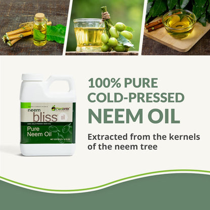 Neem Bliss (64 Fl Oz) - Pure Neem Oil Concentrate - 100% Cold Pressed Neem Oil - All-Natural Neem Oil Concentrate - Pure Neem Oil Extract - Unrefined Neem Oil for Hair - Neem Seed Oil Concentrate