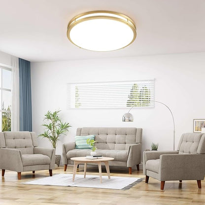 24 inch Gold Ceiling Light Fixture 48W, LED Dimmable Close to Ceiling Light Fixture 5CCT, Modern Flush Mount Ceiling Light for Living Room, Bedroom, Bathroom, Kitchen