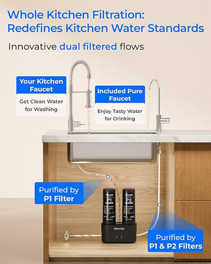 Waterdrop DLG-P Under Sink Water Filter System, Reduces PFAS Chlorine Chloramine Fluoride Odor, 2 Stage Under Sink Water Filtration System with Dedicated Faucet, 2-Outlet Filter, Life Indicator