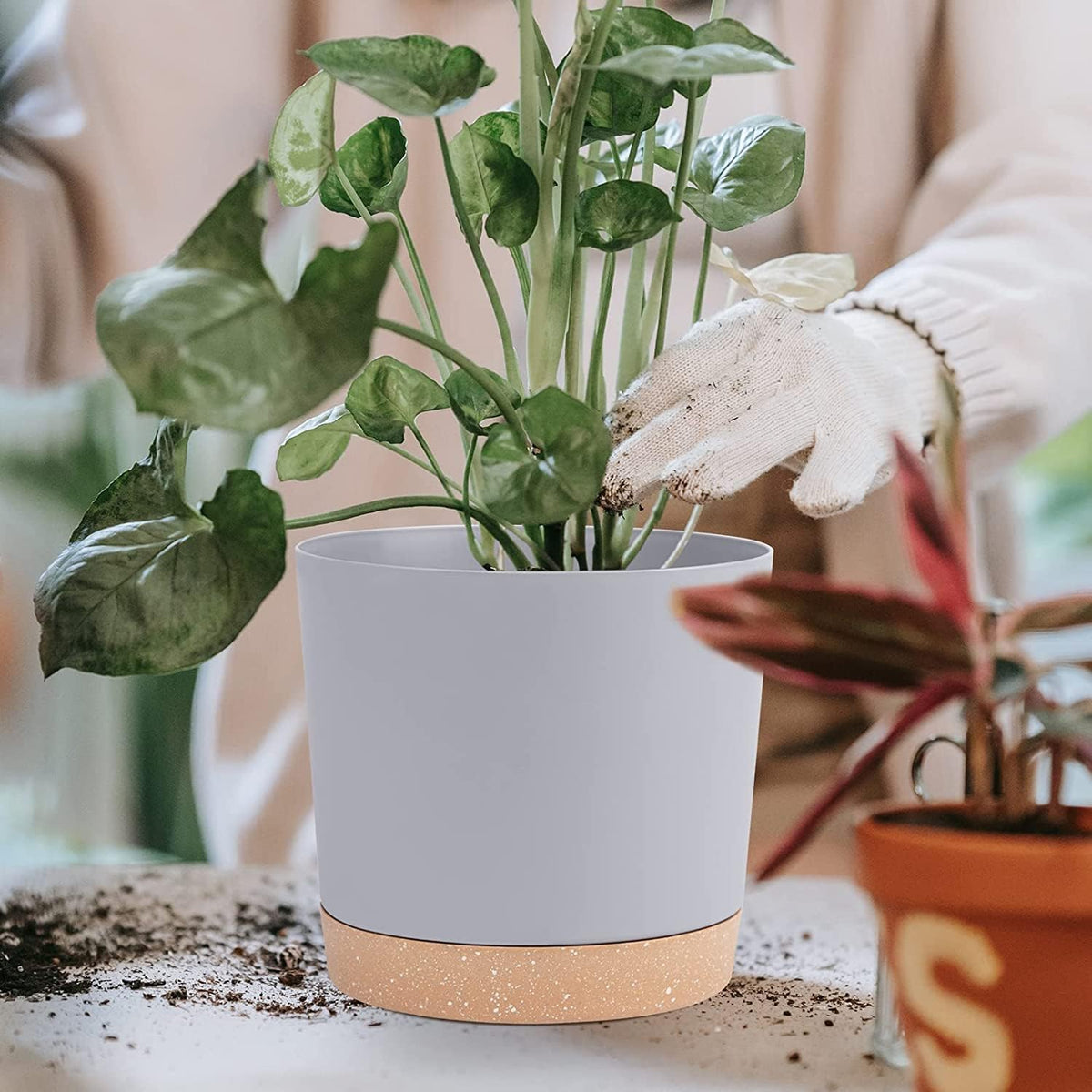 QCQHDU 10 inch Plant Pot, 2 Pack Planters for Indoor Plants with Drainage Holes & Saucer, Outdoor Flower Pots Home Garden Modern Decor