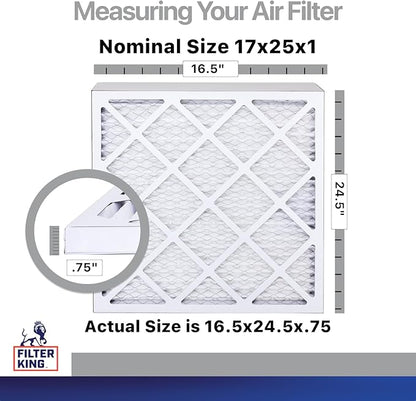 Filter King 17x25x1 Air Filter | 4-PACK | Carbon MERV 8 HVAC Pleated A/C Furnace Filters | MADE IN USA | Actual Size: 16.5 x 24.5 x .75"