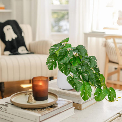 DILATATA Fake Plants Indoor 8 Inch Artificial Monstera Plant in White Ceramic Pot - Faux Potted Tropical Palm Plant for Home Aesthetic Decor Living Room Shelf Office