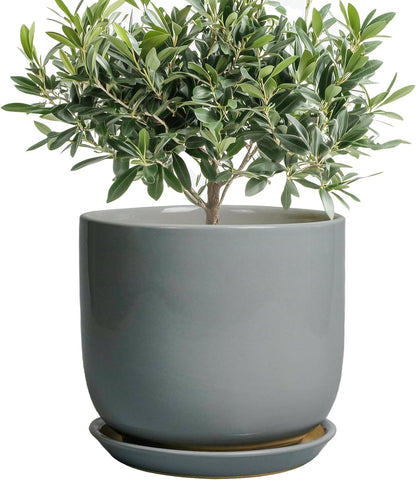 Ceramic Planter for Indoor Outdoor Plants - Cylinder Decorative 8 Inch Plant Pot with Drainage Hole and Saucer, Modern Home Decor, Gray