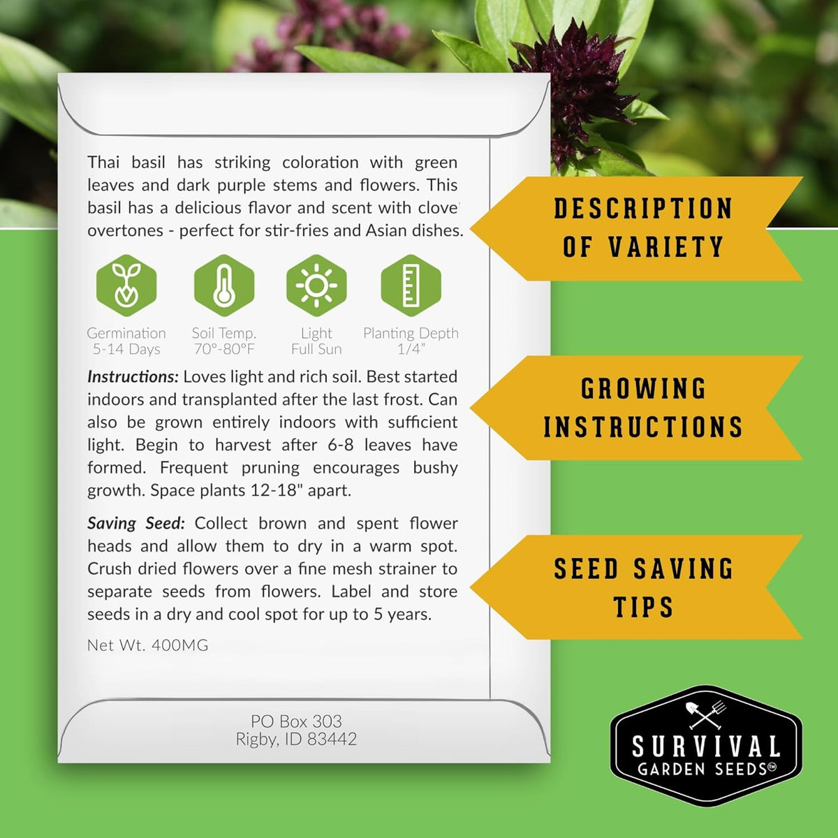 Survival Garden Seeds - Thai Basil Seed for Planting - 3 Packets with Instructions to Plant and Grow Asian Basil Indoors or Outdoors in Your Home Vegetable Garden - Non-GMO Heirloom Variety