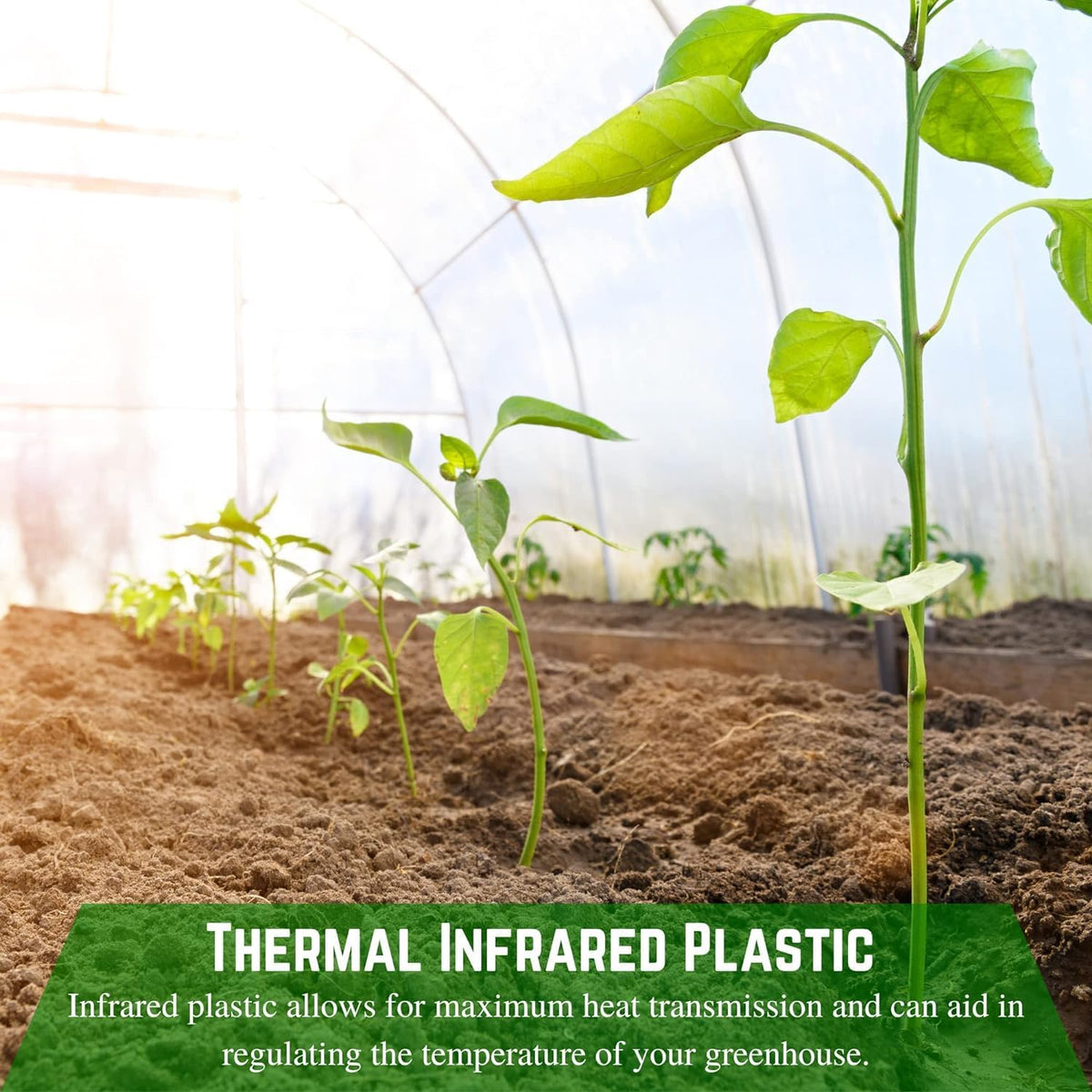 Farm Plastic Supply - Clear Coolmax Greenhouse Plastic Sheeting - 6 Mil - 4 Year UV Resistant Infrared Anti-Condensate Green House Covering Thermal Greenhouse Plastic 6 mil (20' x 60')