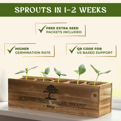 AVERGO Bonsai Tree Kit for Beginners – 5X Unique Japanese Bonzai Trees | Complete Indoor Starter Kit for Growing Plants with Bonsai Seeds, Tools & Planters – Gardening Gifts for Women & Men