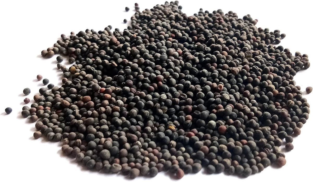 Dwarf Siberian Kale Seeds for Planting – Plant & Grow Heirloom Non-GMO Dwarf Siberian Kale in Home Outdoor Vegetable Garden, Brassica Napus – 2 Packets