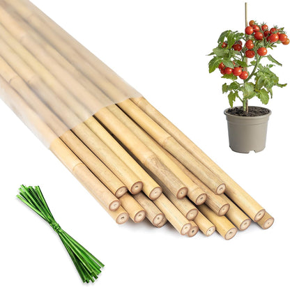Plant Stakes 16inch, 20Pcs Natural Bamboo Sticks Garden Stakes, HAINANSTRY Plant Support Stakes for Indoor & Outdoor Plants, Orchid Tomato Vegetable Stakes for Garden