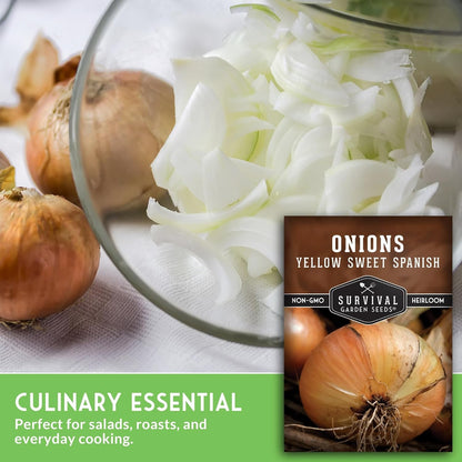 Yellow Sweet Spanish Onion Seed for Planting - 3 Packets with Instructions to Plant and Grow Long Day Onions in Your Home Vegetable Garden - Non-GMO Heirloom Variety - Survival Garden Seeds