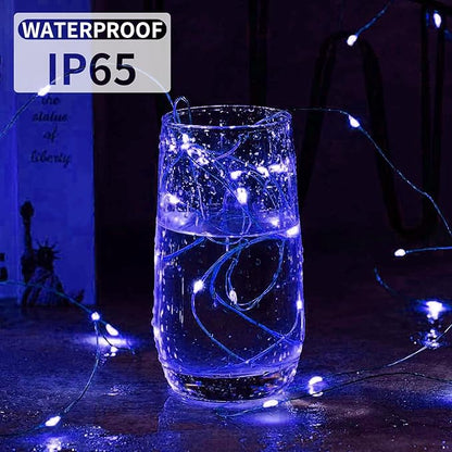 Aogist 24 Pack Fairy Lights 3 Modes 7ft 20 LED Waterproof,Battery Operated Silver Wire Firefly Starry Moon Mini String Lights for Mason Jars Christmas DIY Crafts Wedding Party Bedroom,Blue