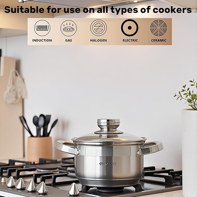 Daniks Standard Stainless Steel Stock Pot with Glass Lid – Induction 2 Quart, Dishwasher Safe, Measuring Scale, For Soup, Pasta, Stew, Silver