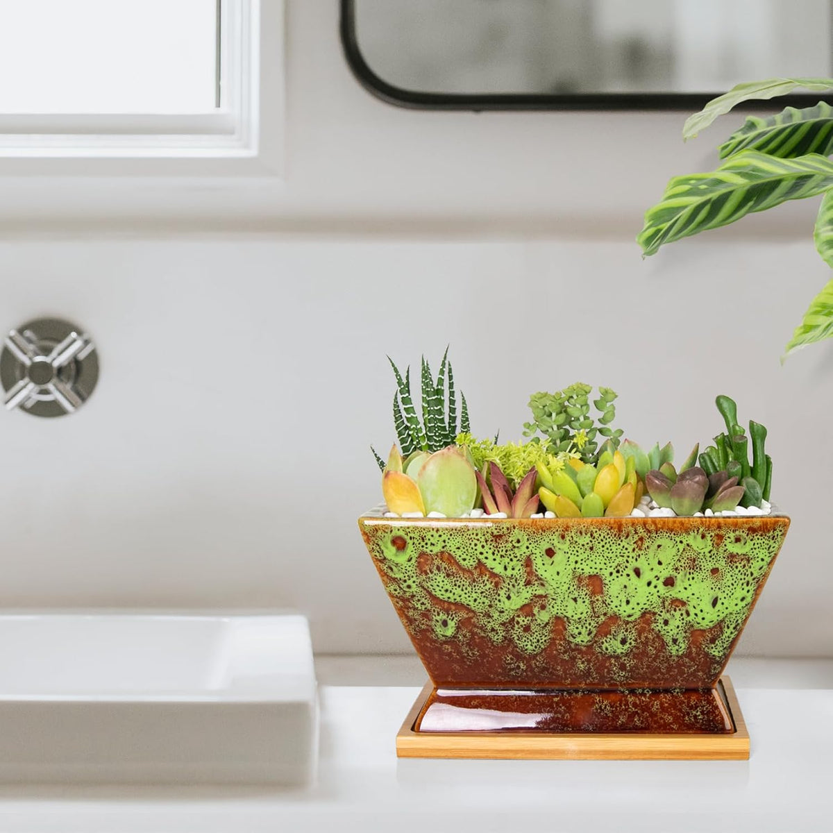 ARTKETTY Succulent Pots - 7 Inch Large Plant Pot with Drainage Tray, Shallow Ceramic Pots for Indoor Plants, Modern Cactus Bonsai Plant Container Decorative Home Office