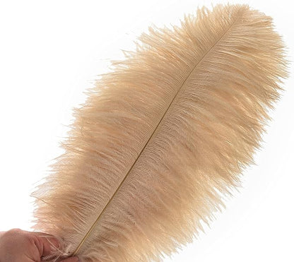 Ballinger Large Champagne Ostrich Feathers - 24pcs 8-10inch Boho Feathers for vase and Home Decor Wedding Party Centerpieces