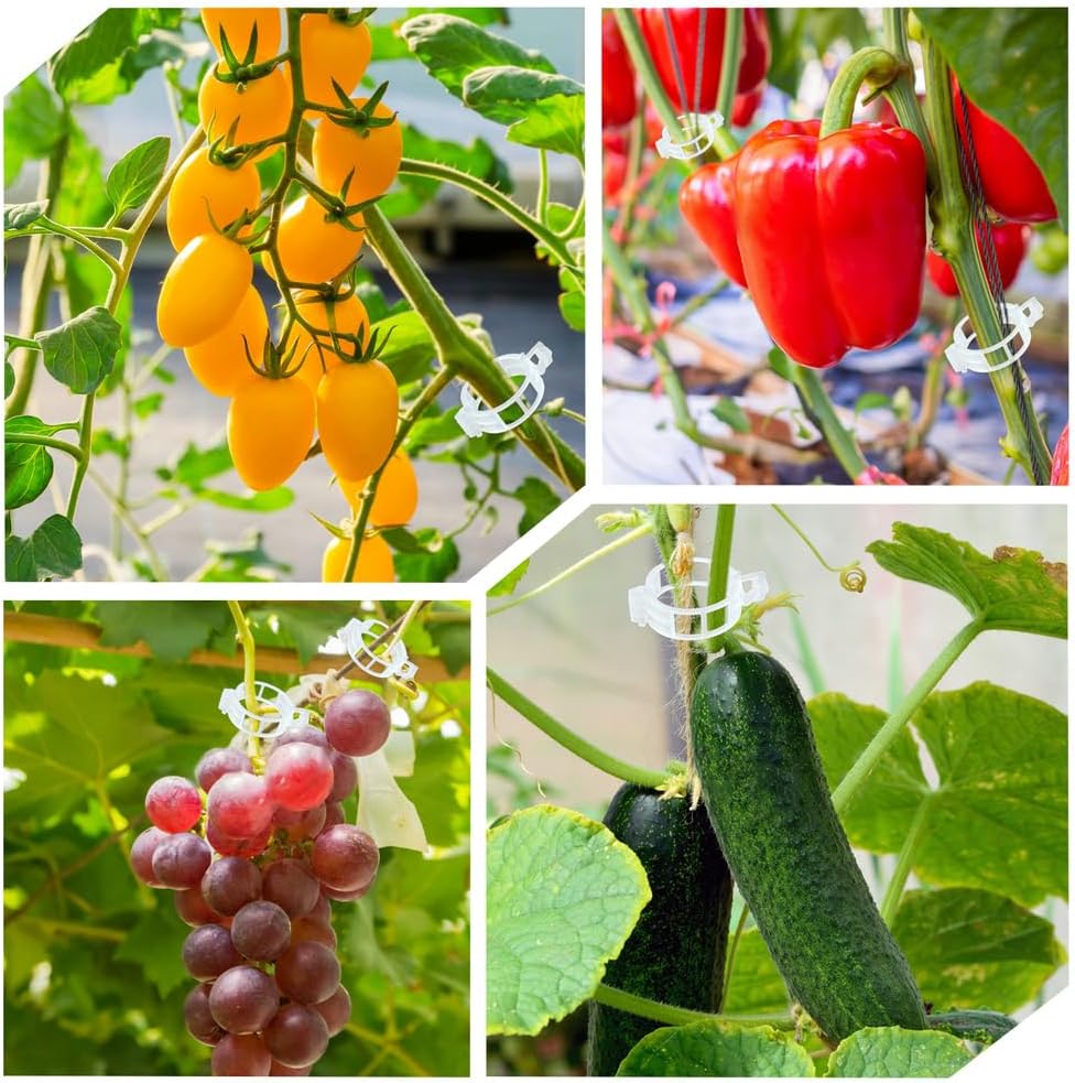 200 Pcs Plant Support Garden Clips, Tomato Clips, Crop Clips for Vine Vegetables, Fixing Tomato, Sweet Pepper, Eggplant, Makes Plants Grow Upright and Healthier