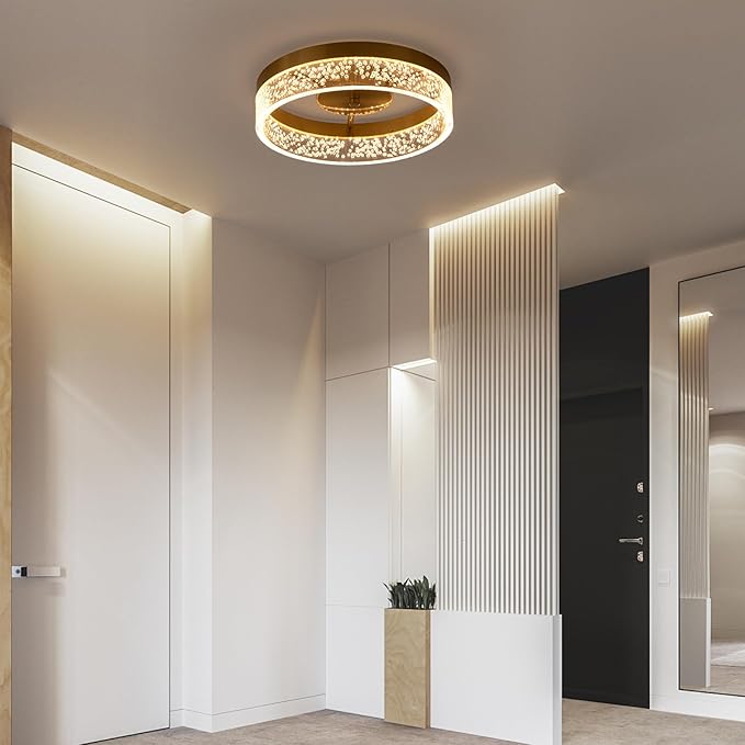 Jaycomey Modern LED Ceiling Light Fixture, 11.65" Flush Mount Kitchen Lighting Gold with Clear Seeded Acrylic Lampshade,Round Ceiling Lamp Lights for Hallway Dining Room