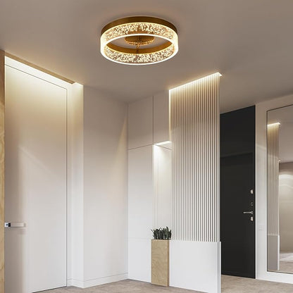 Jaycomey Modern LED Ceiling Light Fixture, 11.65" Flush Mount Kitchen Lighting Gold with Clear Seeded Acrylic Lampshade,Round Ceiling Lamp Lights for Hallway Dining Room