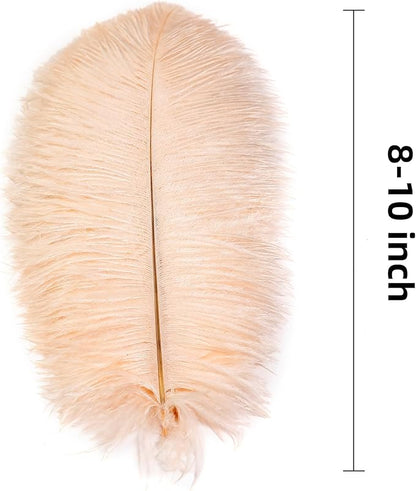Ballinger Light Salmon Ostrich Feathers - 24pcs 8-10inch Feathers for Crafts，Wedding Party Centerpieces and Home Decor