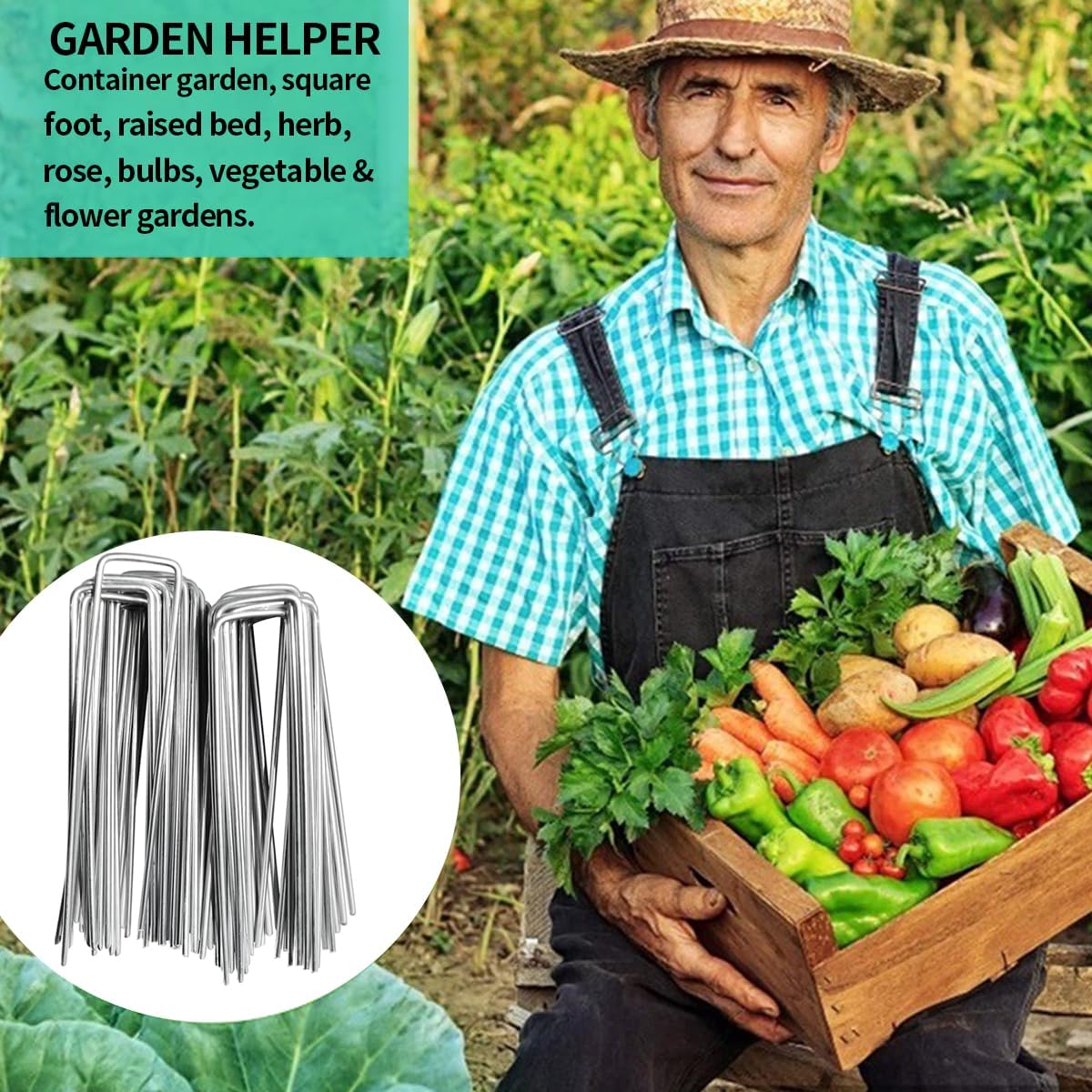 100 Pieces 6 Inch 11 Gauge Galvanized Landscape Staples,Stakes for Outdoor Decorations, Anti-Rust Staples for Weed Barrier Fabric, U-Shaped Tent Stakes