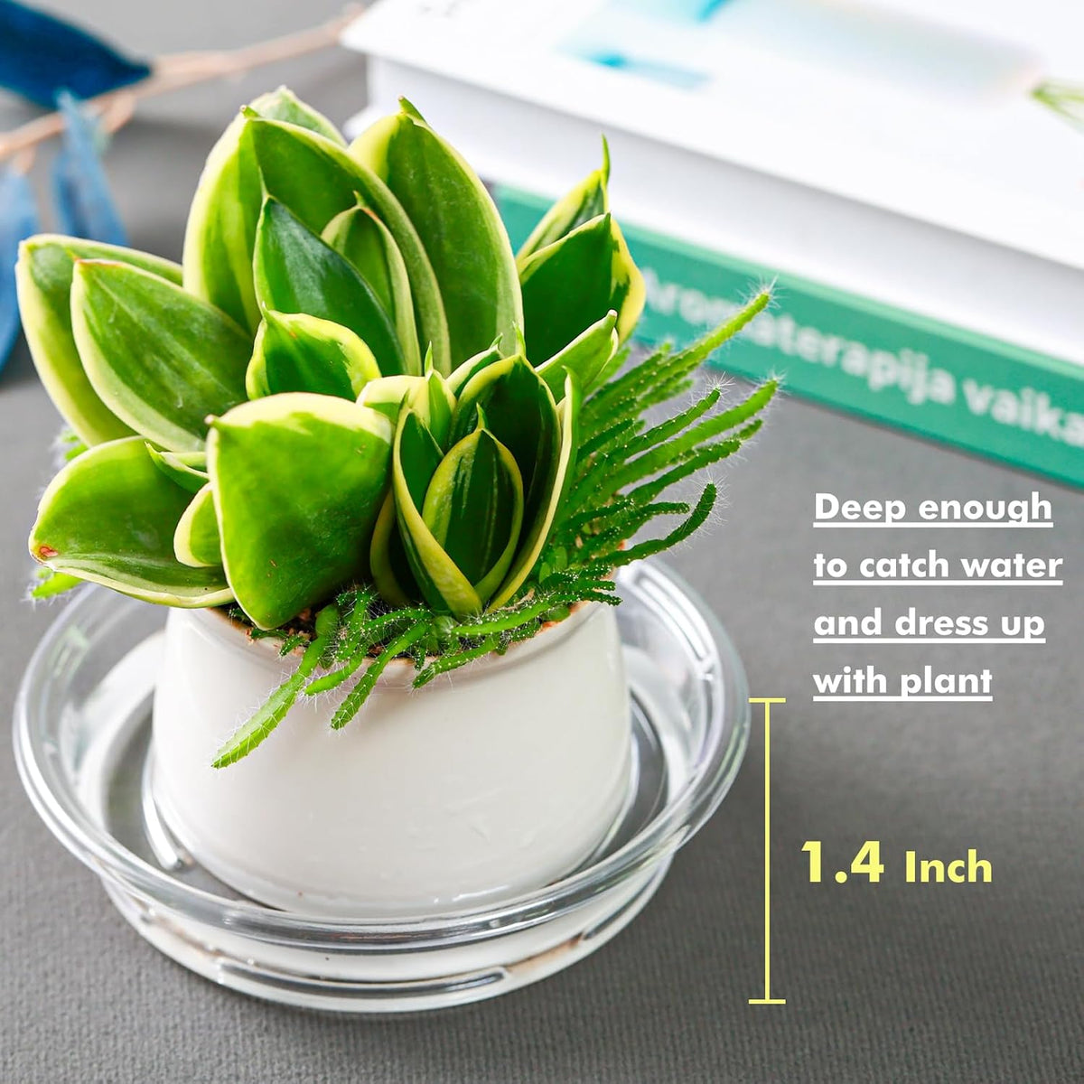 Plant Saucer 20 Pack Plant Trays for Pots 6 Inch Plastic Plant Saucers for Outdoors and Indoors Clear Drip Trays for Potted Plants Flower Pot Plates to Catch Water Plant Drainage Dishes No Holes