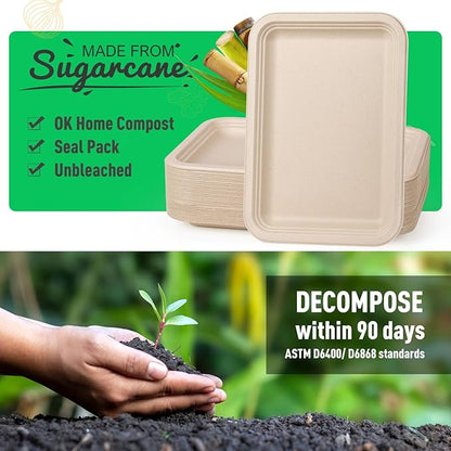 Gezond 100 Pack 14 Inch Disposable Food Trays Eco-Friendly Heavy-Duty Large Paper Plates Compostable Sugarcane Platters for Crawfish, BBQ, Seafood Boil Party Supplies Natural