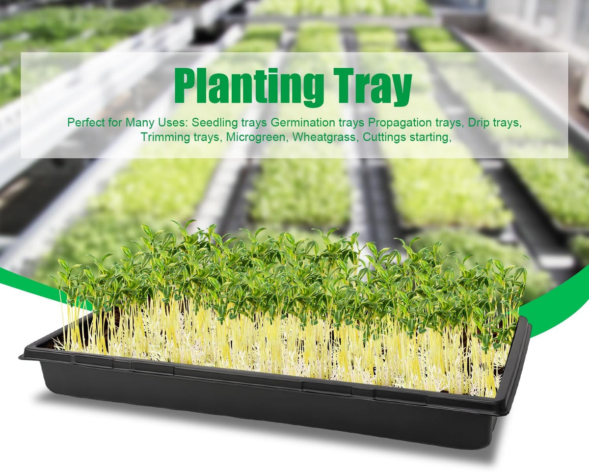 Plant Growing Nursery, Standard 1020 Trays Plastic Sturdy Farmer Self Seedling Tray for Microgreens Indoor Nursery Pots Transplantation (5-Pack, 21.6"×11.2", 2.52" Deep, no Holes)