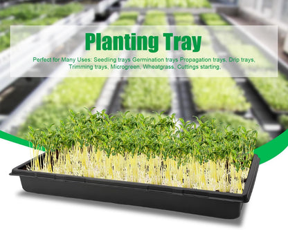 Plant Growing Nursery, Standard 1020 Trays Plastic Sturdy Farmer Self Seedling Tray for Microgreens Indoor Nursery Pots Transplantation (5-Pack, 21.6"×11.2", 2.52" Deep, no Holes)