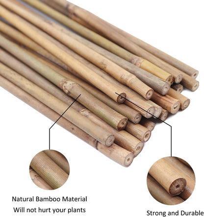 Plant Stakes Natural Garden Bamboo Sticks for Indoor and Outdoor Plants, GAGINANG 20pcs Plant Support Stakes for Tomatoes, Beans, Potted Plants - 16 inches
