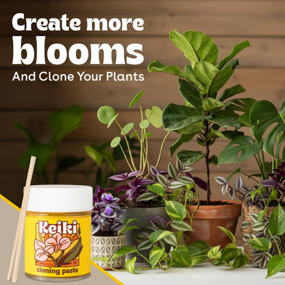 Keiki Paste for Plants to Clone & Create New Growth - 2X The Paste - Rapid Start Cloning Gel for House Plants - Keiki Cloning Paste for Plants- Nutrient Rich Plant Growth Gel - 0.5oz