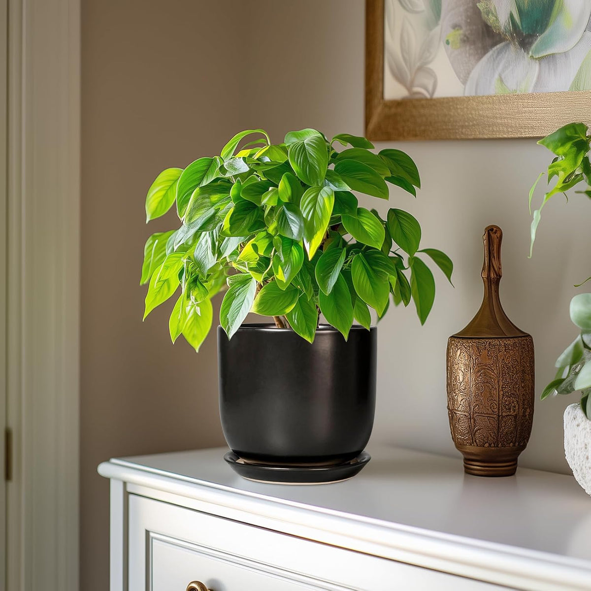Ceramic Planter 7 Inch - Cylinder Round Modern Indoor Plant Pot for Plants with Drainage Hole and Saucer, Room Home Patio Office Patio Decor, Black