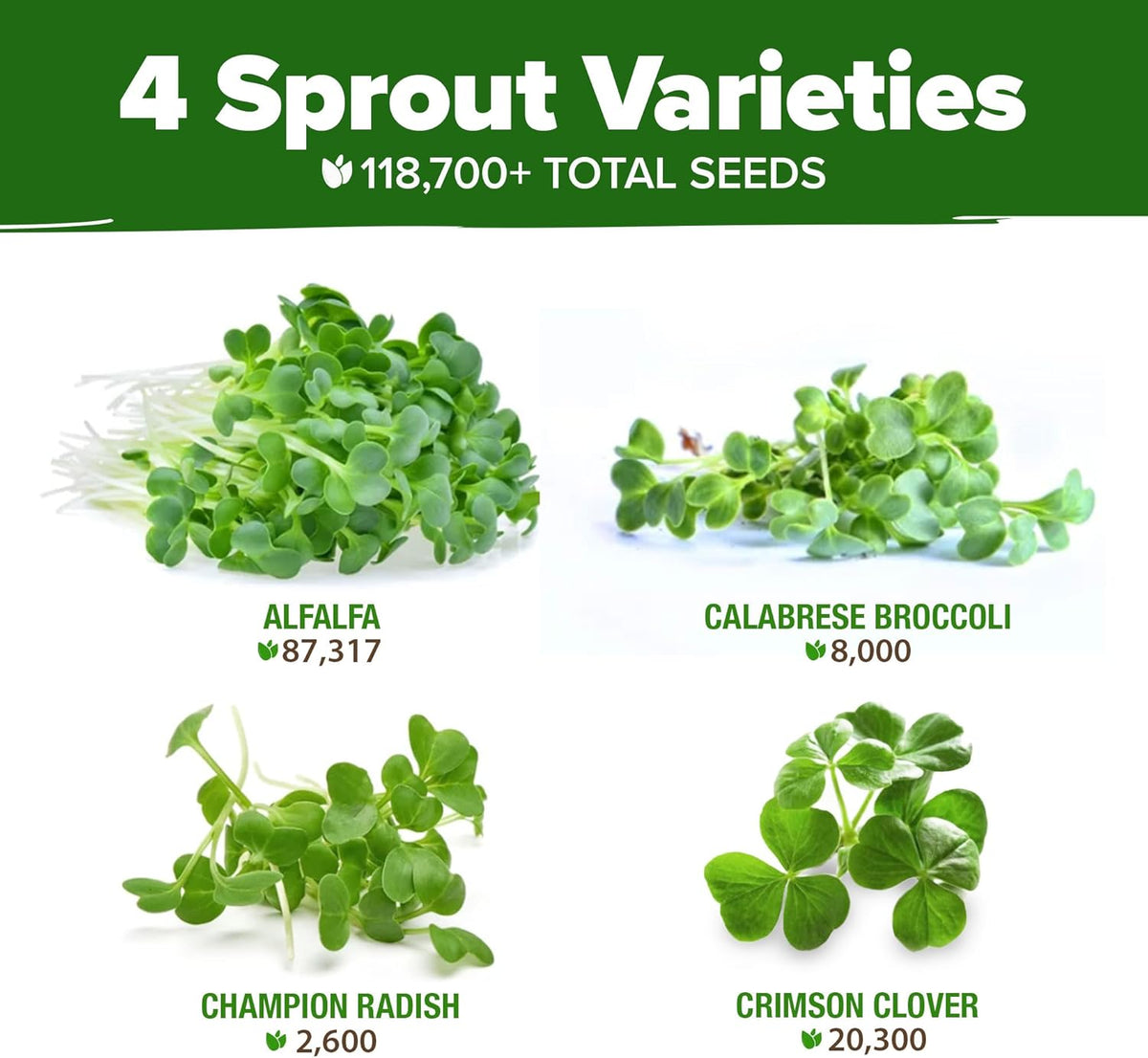 HOME GROWN Premium Sprouting Seeds Mix - Microgreens Seeds for Indoor Growing - Non-GMO Broccoli, Alfalfa, Radish, Clover Sprouts Seed - 16oz Resealable Pack for Healthy Salad & Juicing