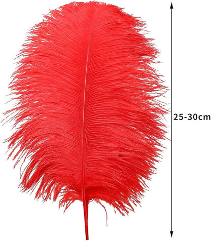 24pcs Natural Bright Red Ostrich Feathers 10-12inch (25-30cm) for Wedding Party Centerpieces，Flower Arrangement and Home Decoration.
