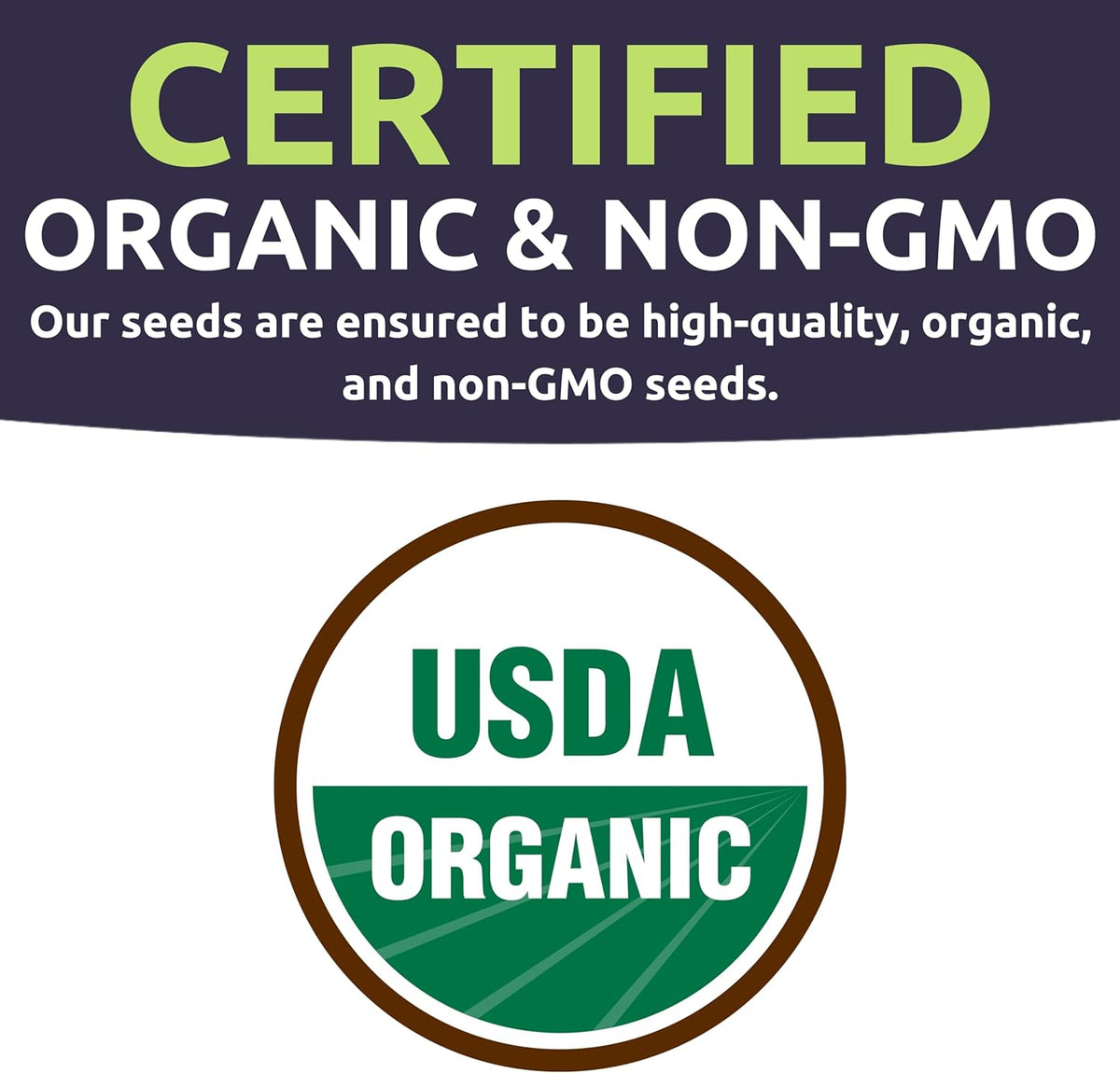 Organic Container Garden Seeds Variety Pack - 10 Individual Packs - 2025 Season - Ruquette arugula, Genovese Basil and More! for Indoor & Outdoor Planting (Non-GMO, Certified Organic)