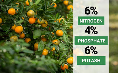 6-4-6 Avocado and Citrus Tree Professional Fertilizer Plant Food for Outdoor/Indoor Gardening; Quick-Release Nitrogen Fertilizer; Orange, Lime, Avocado and Lemon Tree Fertilizer (5 QUARTS)