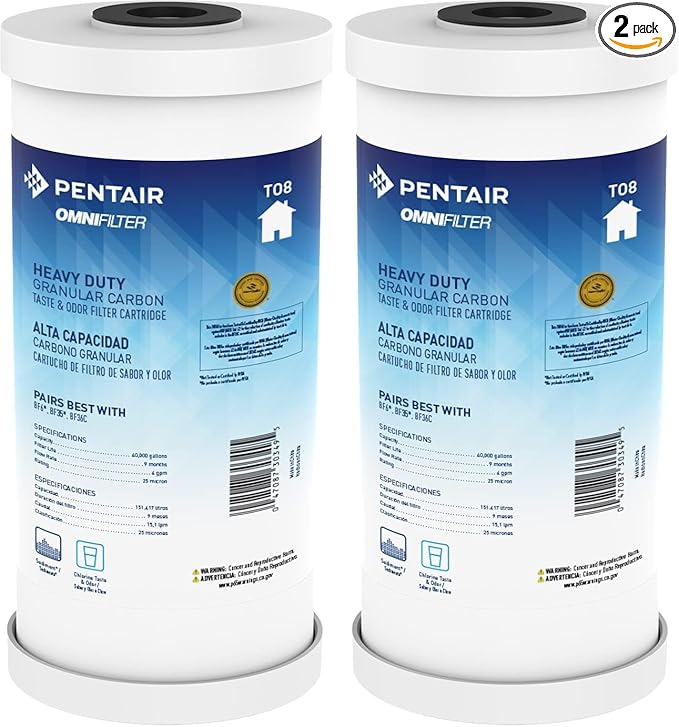 Pentair OMNIFilter TO8 Carbon Water Filter, 10" Heavy Duty Big Blue Whole House Granular Carbon Taste & Odor Replacement Filter Cartridge, 10" x 4.5", 25 Micron |(Pack of 2)
